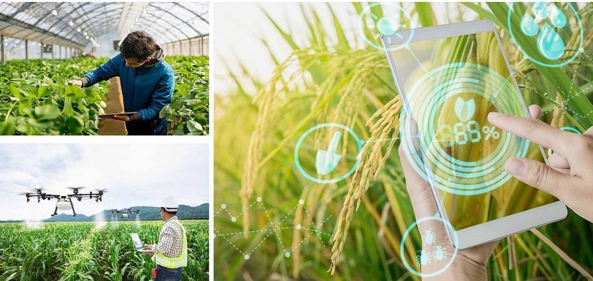 Đẩy mạnh chuyển đổi số trong khu vực kinh tế hợp tác, hợp tác xã